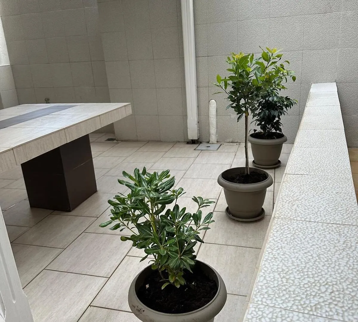 Apartment Studio Green Patio Hanioti